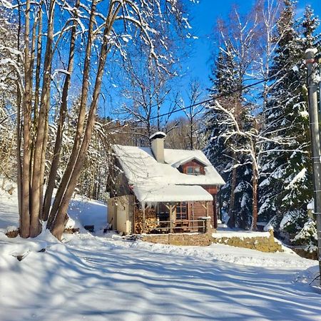 Srub V Bolkovskem Udoli Villa Rudník Kültér fotó