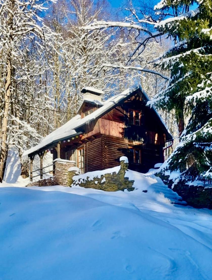 Srub V Bolkovskem Udoli Villa Rudník Kültér fotó