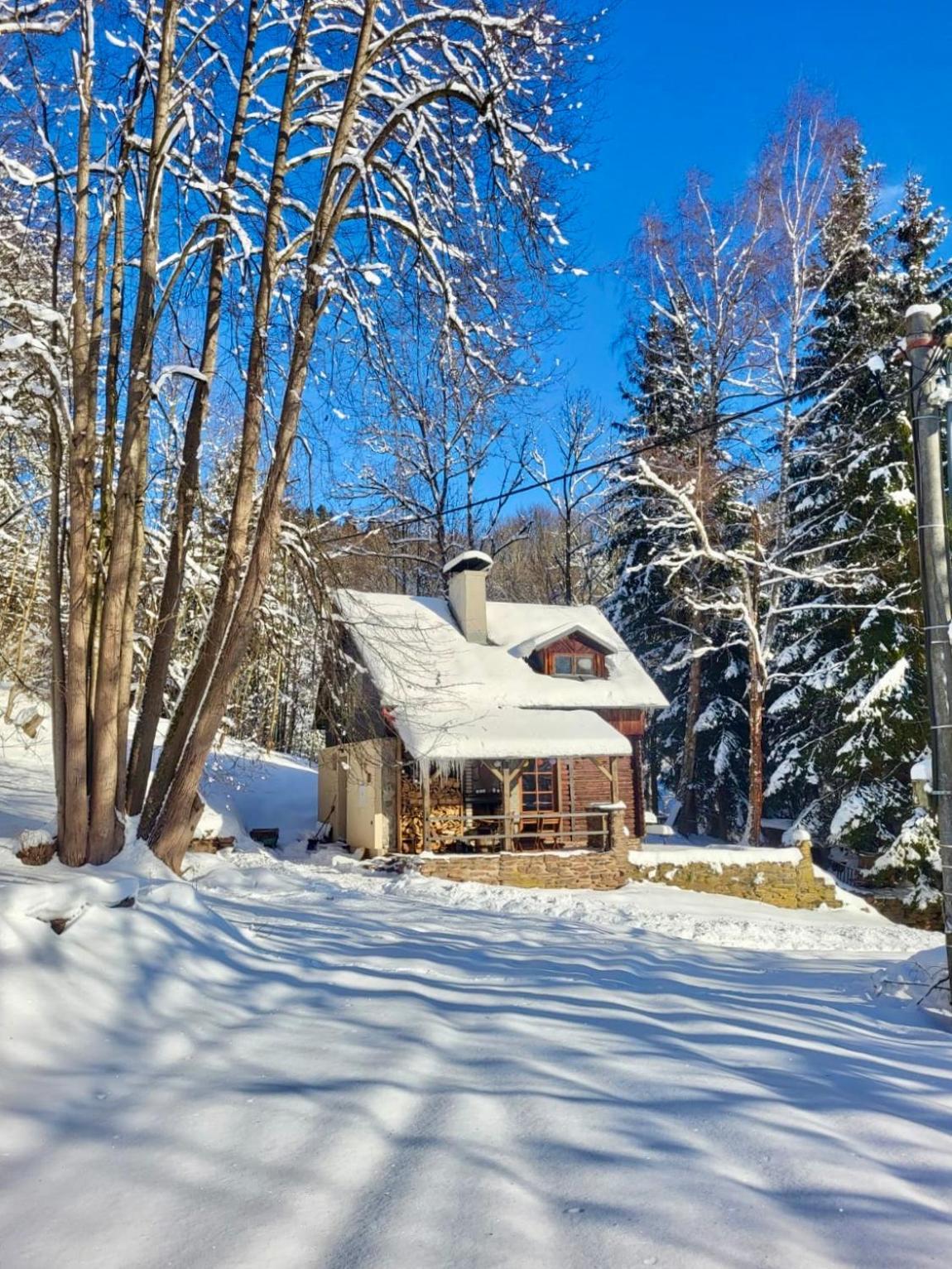 Srub V Bolkovskem Udoli Villa Rudník Kültér fotó